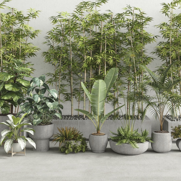 植物 盆栽组合3D模型